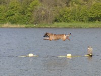 aiko_dockdiving_oefenen